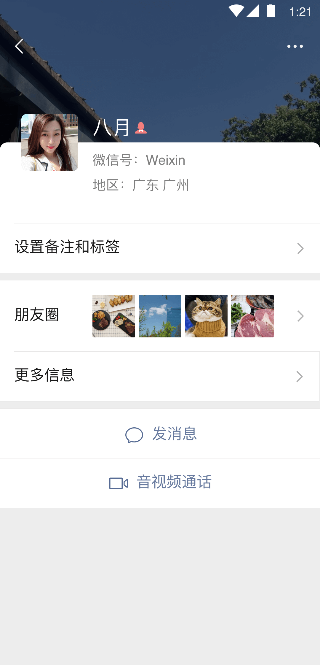 狗在小区大小便作文的建议截图